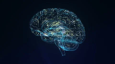 Brains Concept Stock Footage 139909722