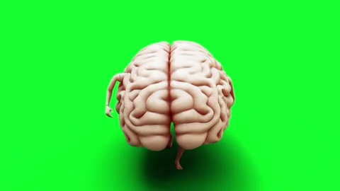 Brains fall into a glass. Realistic 4k animation green screen. 库存影片 301029927