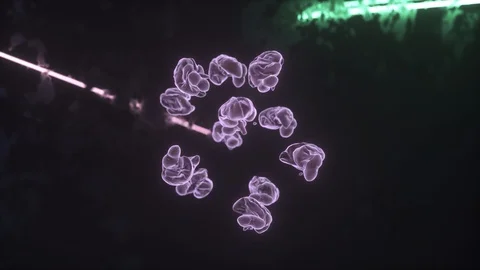 Brains Floating Upwards Stock Footage 114983825