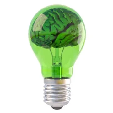 Brains Stock Illustration