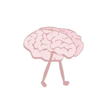 Brains Stock Illustration