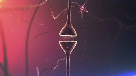 Brains Neurons. Chemical synapse. Closeup. Stock Footage