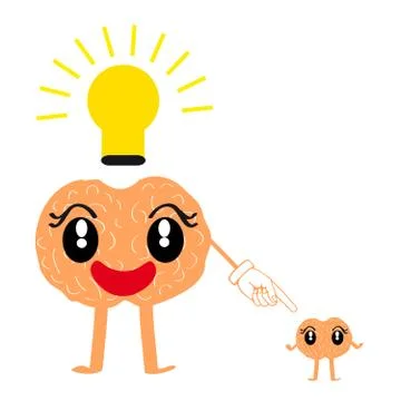 Brains on white background Stock Illustration