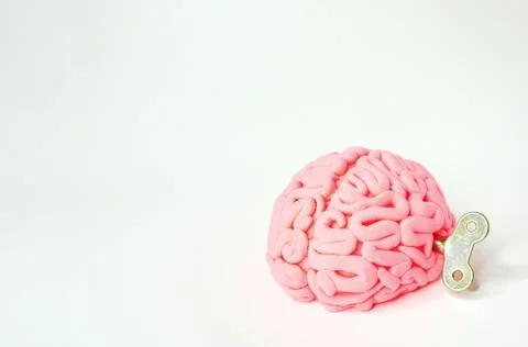 Brains on the winding / Using the brain for ideas / Brain drive Stock Photos