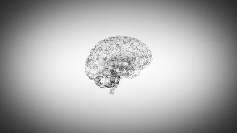 Brains Zoom Stock Footage 124651079