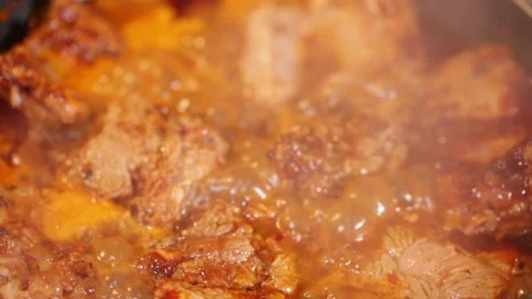 Braised pork chops with brown sauce (2) Stock Footage 202234816