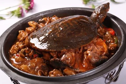 Braised soft-shell turtle in a claypot Stock Photos