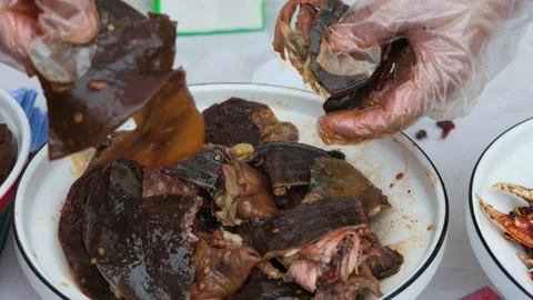 Braised Soft-Shelled Turtle Close Up Chinese Dish Stock Footage 346286599