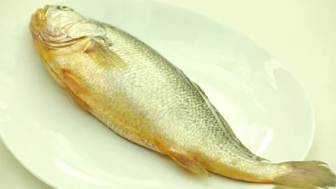 Braised yellow croaker and croaker ingredients (4) Stock Footage 202234278