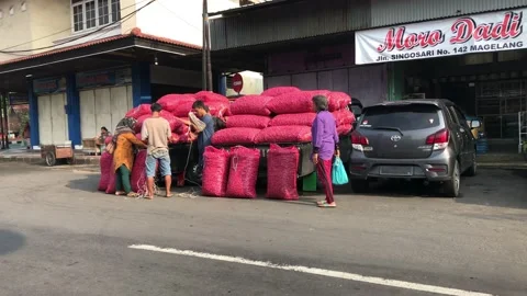 Brambang Stock Footage 170525023