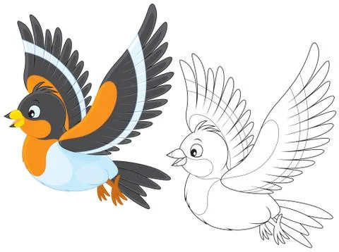 Bramble finch Stock Illustration