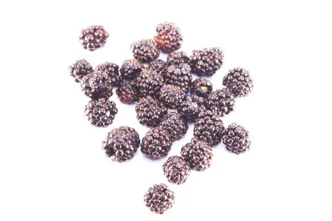 Bramble isolated Stock Photos