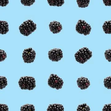 Bramble Seamless pattern. Fresh blackberry seamless pattern. Pattern with fre Foto stock