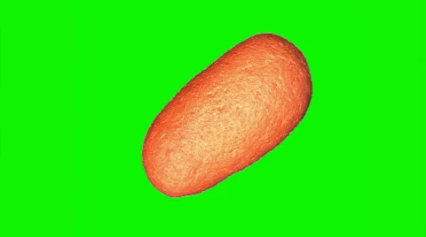 Bran bread rotating 02 Stock Footage 43461415