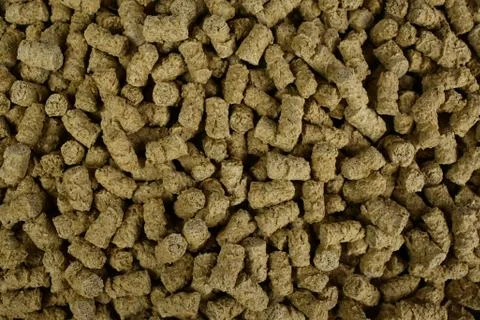 Bran texture Stock Photos