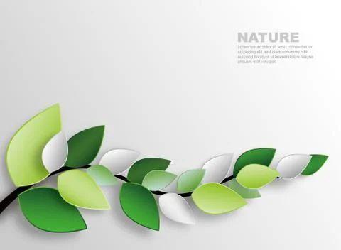 Branch and leaves Stock Illustration