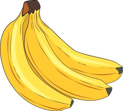 Branch of bananas Stock Illustration