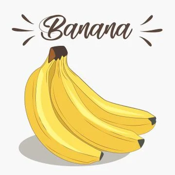 Branch of bananas Stock Illustration