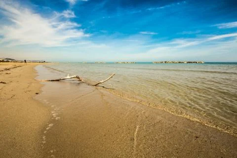 A branch on the beach Stock Photos