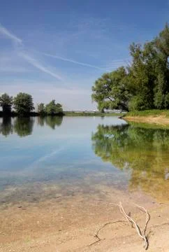 Branch on a beach Stock Photos