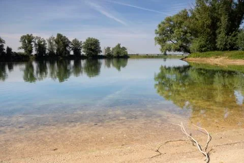 Branch on a beach Stock Photos