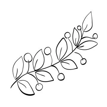 Branch with berries line sketch isolated vector Stock Illustration