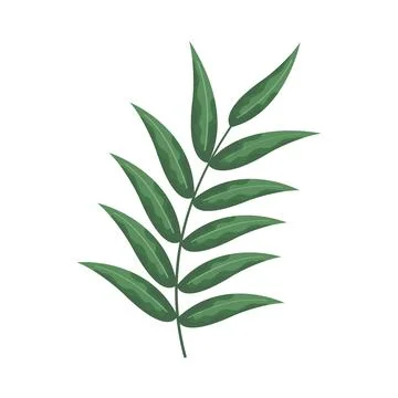 Branch with big leaves Stock Illustration