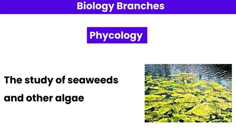 Branch of biology. Branch of science. Stock Footage 276281908