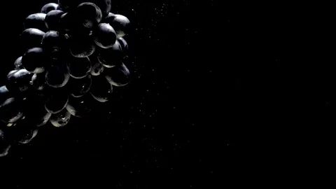 Branch of blue grapes floating under transparent water on black background Stock Footage 108783091