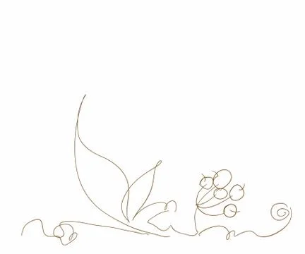 Branch with a bunch of rowan Stock Illustration