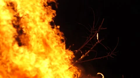 Branch Burns In Large Fire At Night Stock Footage 195281462