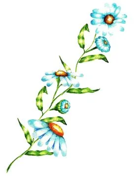 Branch of camomile Stock Illustration