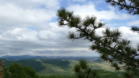 A branch of a cedar on a background of mountains and a picturesque cloudy sky. Stock Footage 82219746
