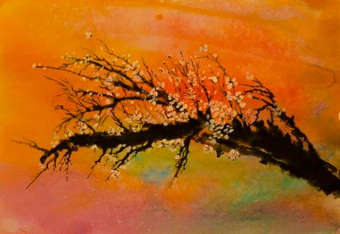 Branch of cherry blossoms Illustrazione stock