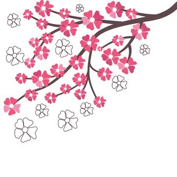 Branch of cherry flowers vector illustration on white background. Stock Illustration
