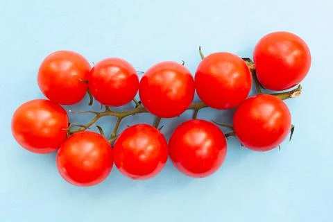 Branch with cherry tomatoes on a blue background. Healthy food. Flat lay. Top Stock Photos