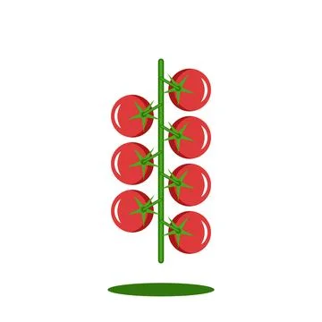 Branch cherry tomatoes logo, small round fresh and ripe red vegetables, org.. Stock Illustration