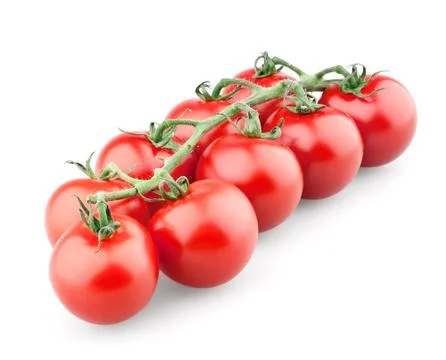 Branch of cherry tomatoes Stock Photos
