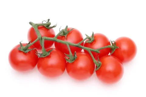 Branch of cherry tomatoes Foto stock