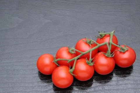 Branch of cherry tomatoes Stock Photos