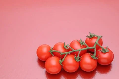 Branch of cherry tomatoes Stock Photos