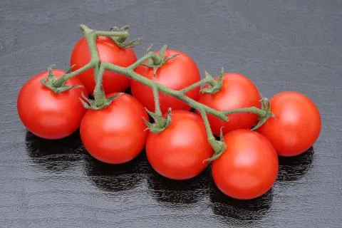 Branch of cherry tomatoes Stock Photos