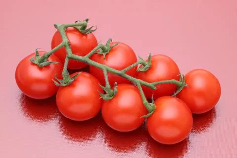 Branch of cherry tomatoes Stock Photos