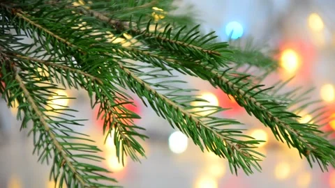 Branch of a Christmas tree on a background of Christmas lights new year  Stock Footage 142901927