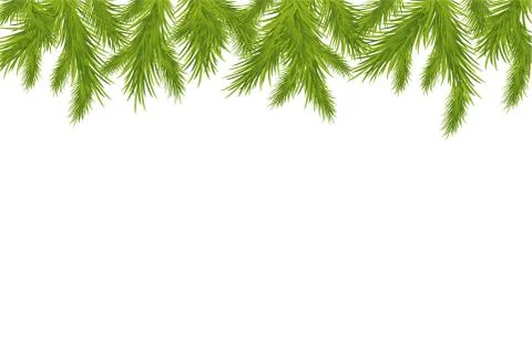 Branch of christmas tree Stock Illustration