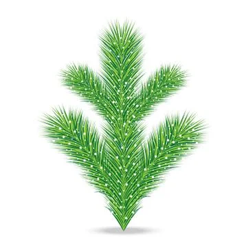 Branch of christmas tree Stock-Illustration