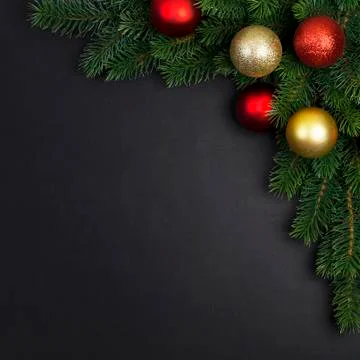Branch of a Christmas tree Stock Photos