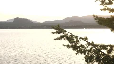 Branch close-up on the shore of the lake  Stock Footage 219966400