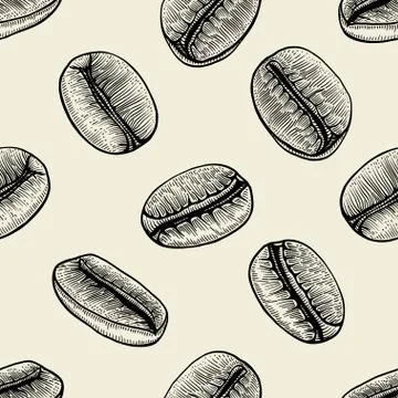 Branch of coffee and beans イラスト素材