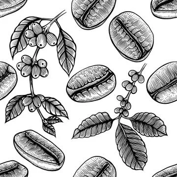 Branch of coffee Stock Illustration